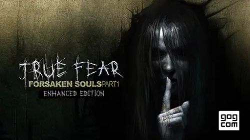 True Fear: Forsaken Souls - Part-1 (GOG Key)