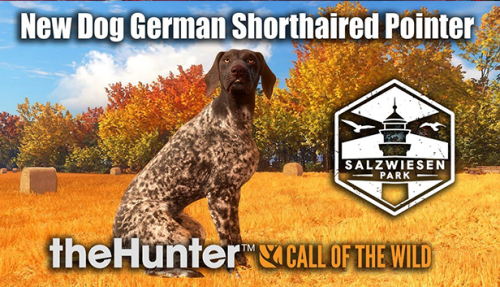 theHunter: Call of the Wild: German SH Pointer DLC (DLC ONLY)